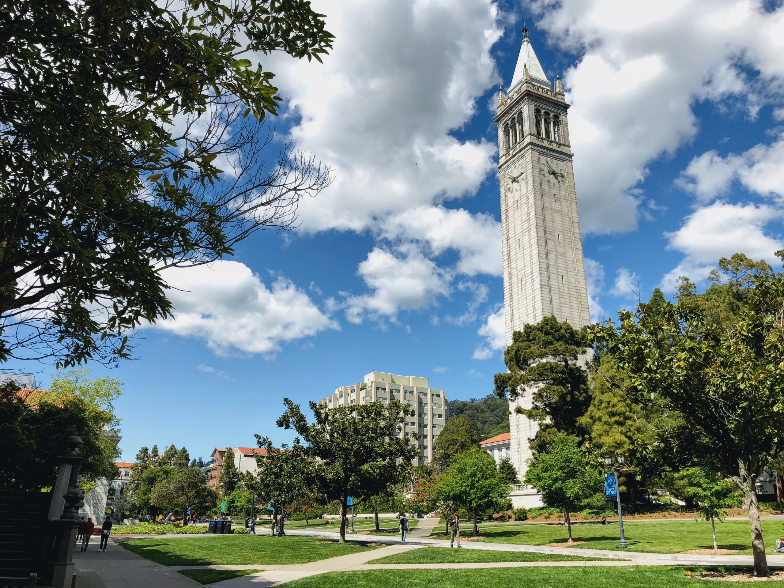 The campus at UC Berkeley